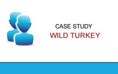 Wild Turkey Case Study - DRAMS